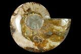 Wide Polished Fossil Ammonite Dish - Inlaid Ammonite #137410-2